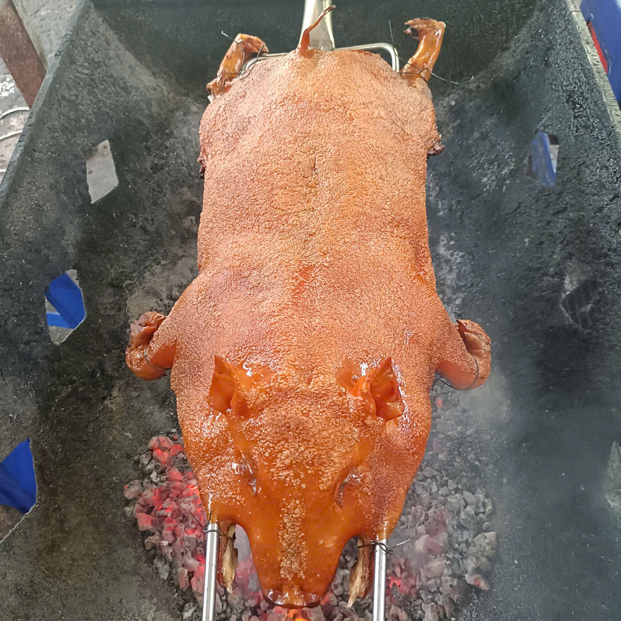 Ngon Quá Làm Sao Quay Xe Kịp?