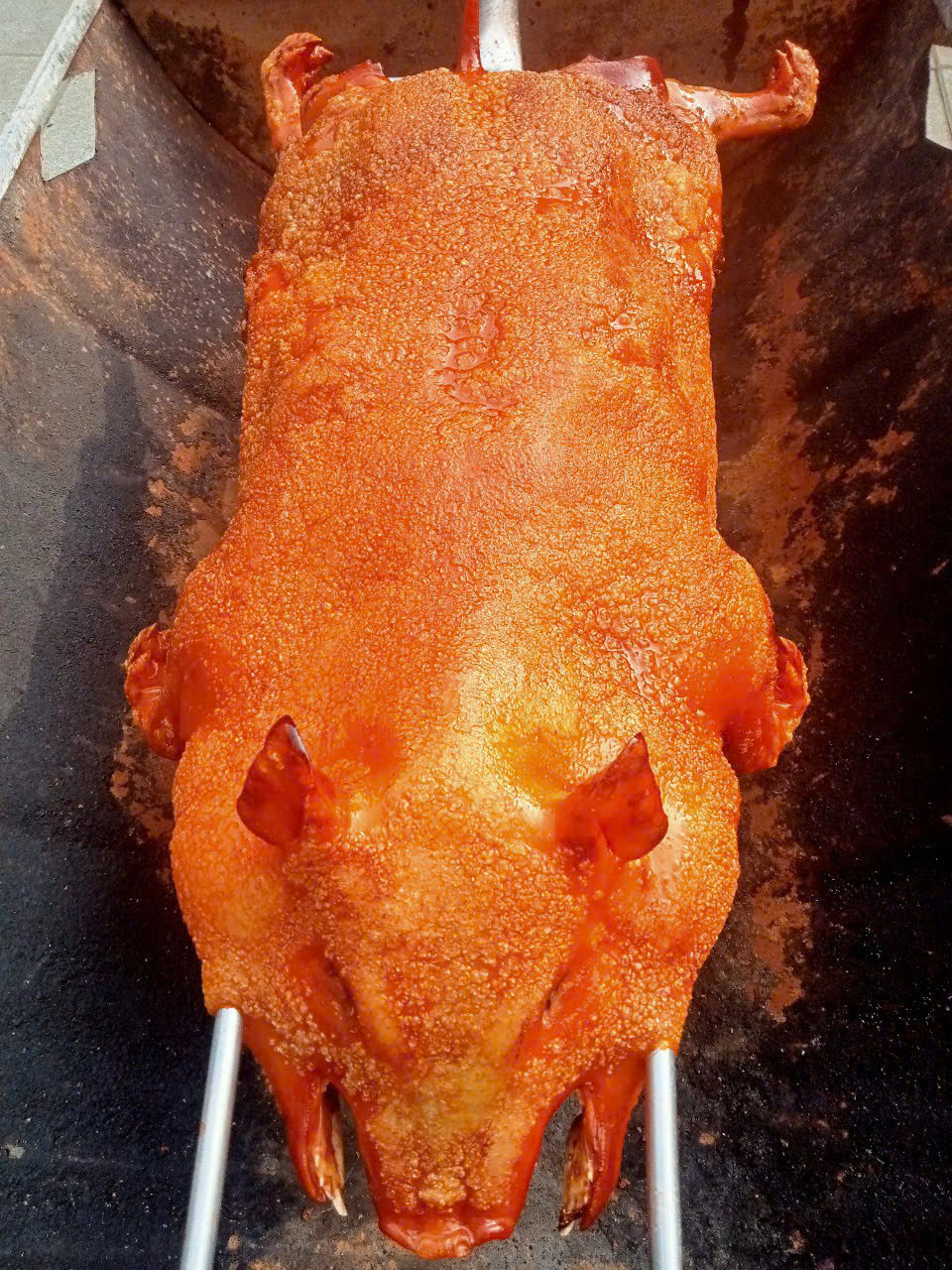 z6665332361584_1cdccd33f9cd63ea103f09ca38775d28