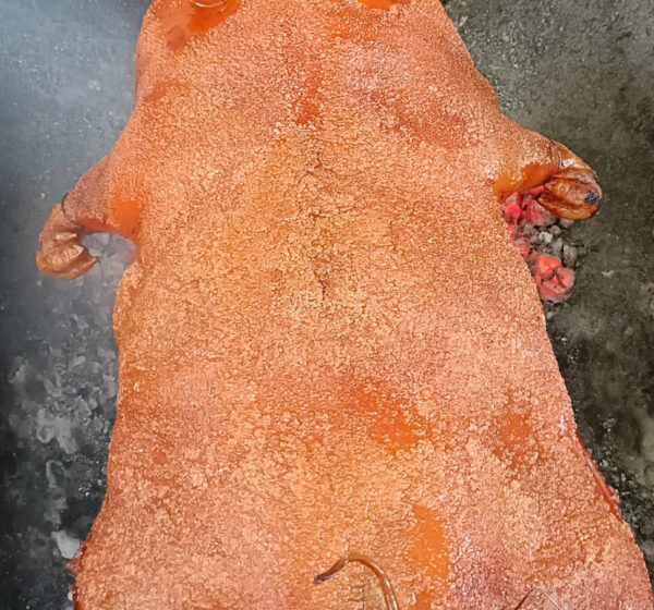 hốt Đơn Ngay – Có Heo Quay Nóng Hổi Đợi Bạn!